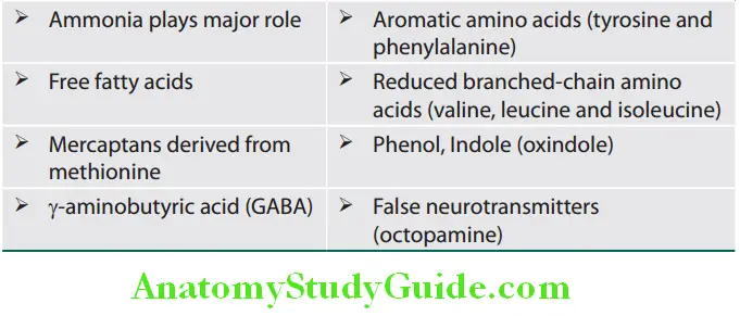 Hepatobiliary System Toxic substances involved in hepatic encephalopathy