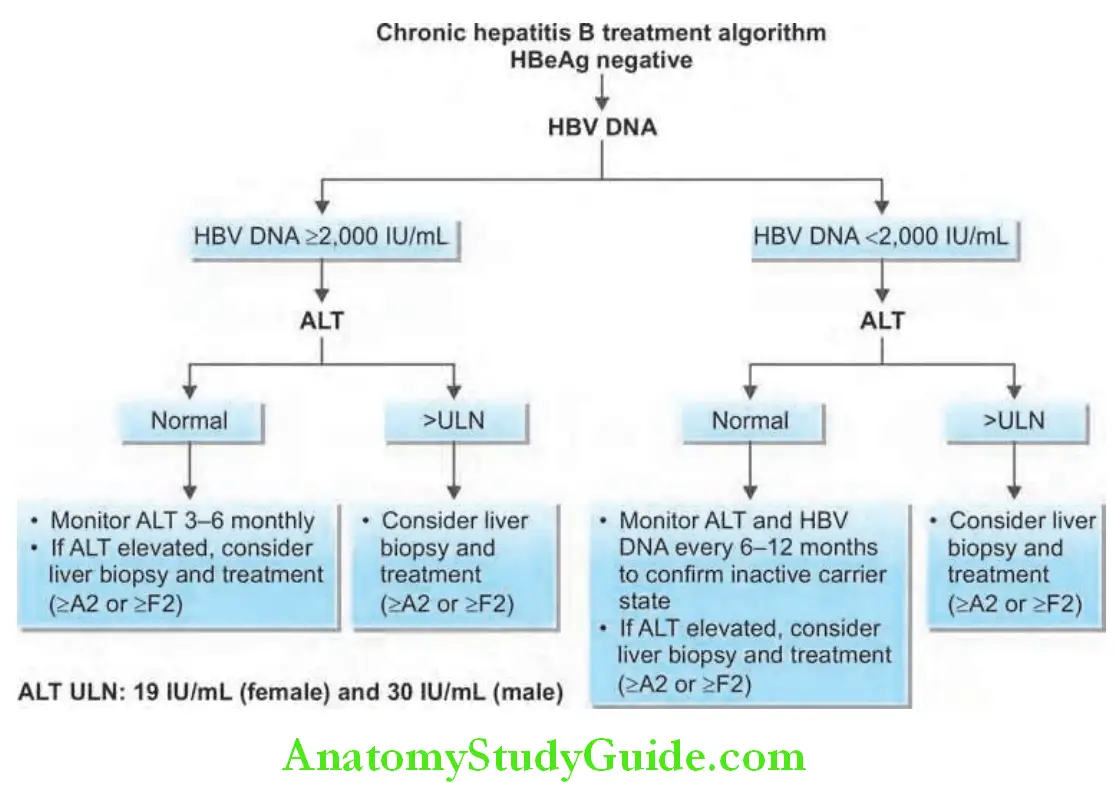 Hepatobiliary System Treatment algorithm for HBeAg-negative and HBeAg-positive chronic hepatitis B