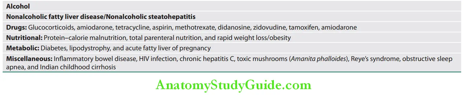 Hepatobiliary System Various causes of fatty liver