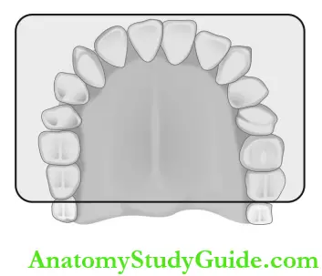 Intraoral Radiographic Techniques Cross Section Maxillary Occlusal Projection