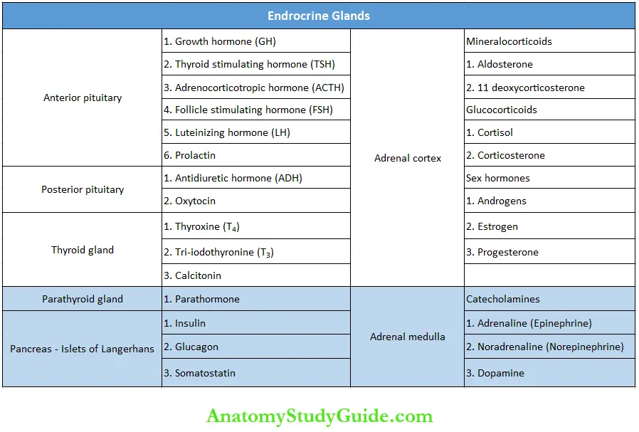 Introduction Of Endocrinology Notes Hormones Secreted By Major Endocrine Glands