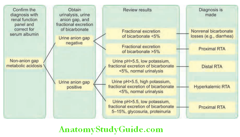 Kidney Algorithm approach to renal tubular acidosis RTA