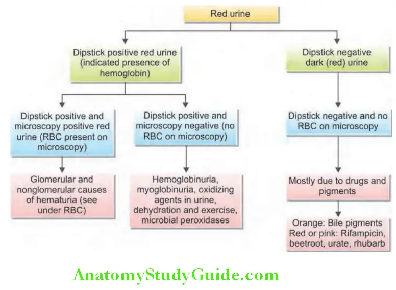 Kidney Approach to red color or dark urine