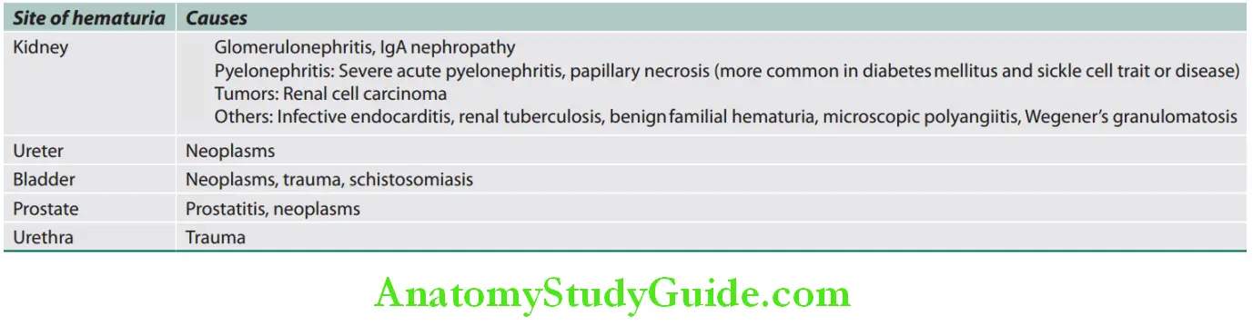 Kidney Causes of painless hematuria