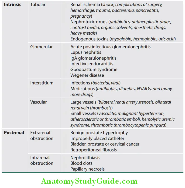 Kidney Classifiation of causes of acute kidney injury.