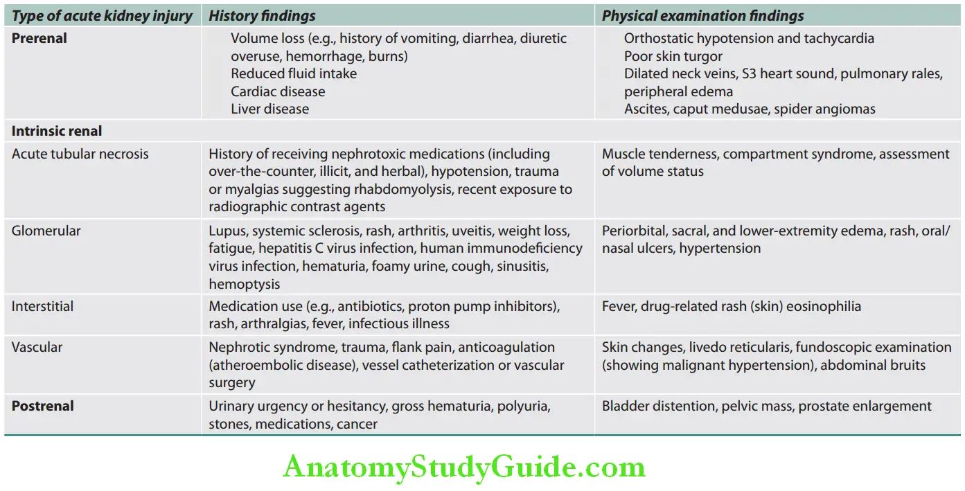 Kidney Clinical features of acute kidney injury