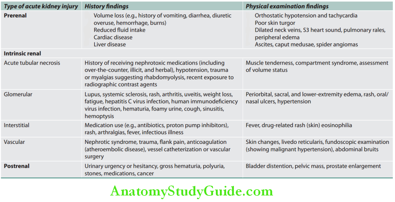 Kidney Clinical features of chronic kidney disease CKD