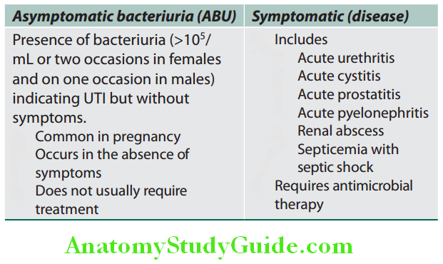 Kidney Clinical spectrum of urinary tract infection UTI