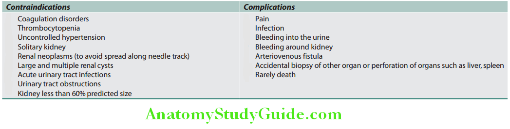 Kidney Contraindications and complications of renal biopsy