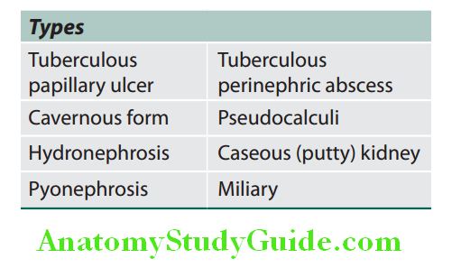 Kidney Types of lesions in renal tuberculosis