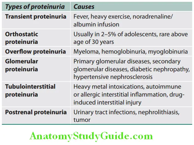 Kidney Types of proteinuria and causes