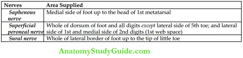 Leg and foot The cutaneous innervation of dorsum of the foot is provided by following nerves