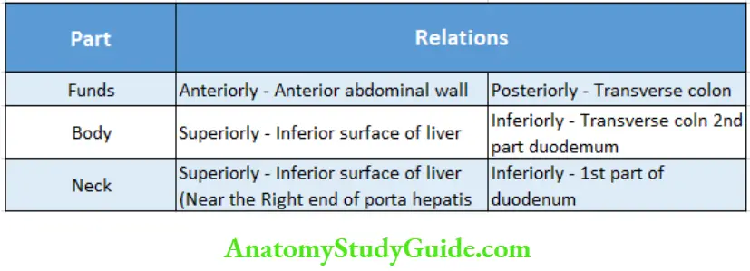 Liver And Extrahepatic Biliary Apparatus Part And Relations