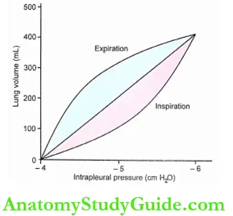 Mechanics of Respiration Physiology Notes - Anatomy Study Guide