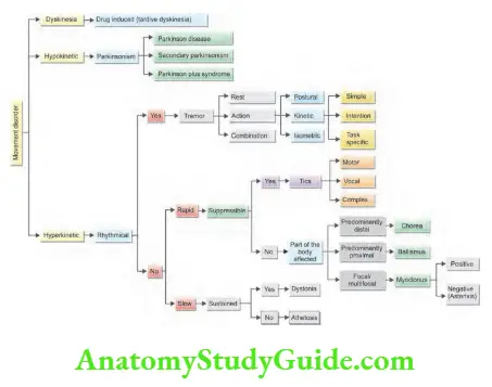 Neurology Algorithmic approach to movement disorders.