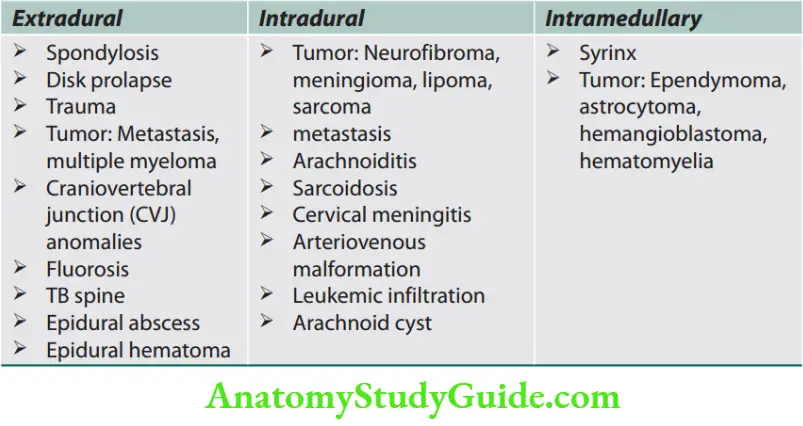 Neurology Causes of compressive myelopathies