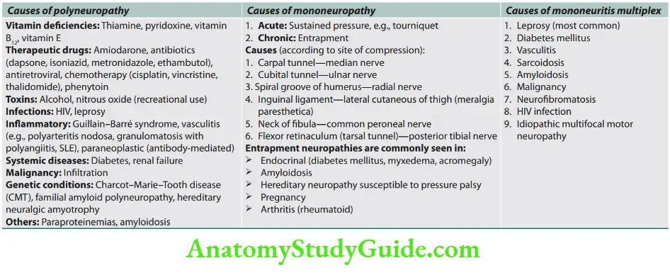 Neurology Causes of peripheral nerve disorders