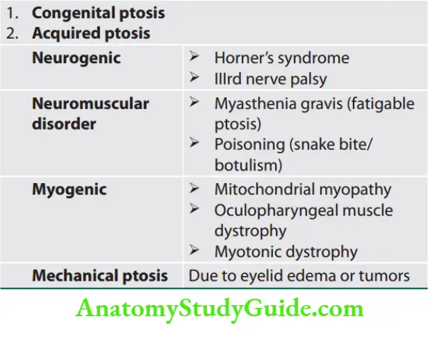 Neurology Causes of ptosis