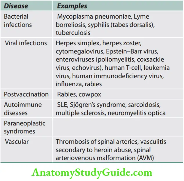 Neurology Causes of transverse myelitis