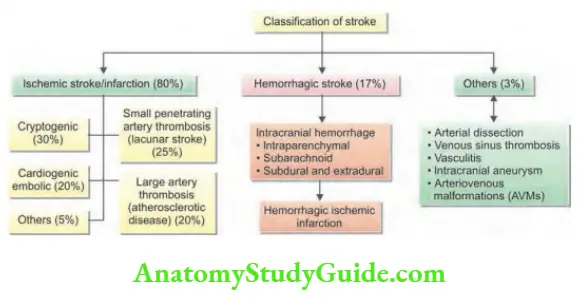 Neurology Classifiation of stroke.