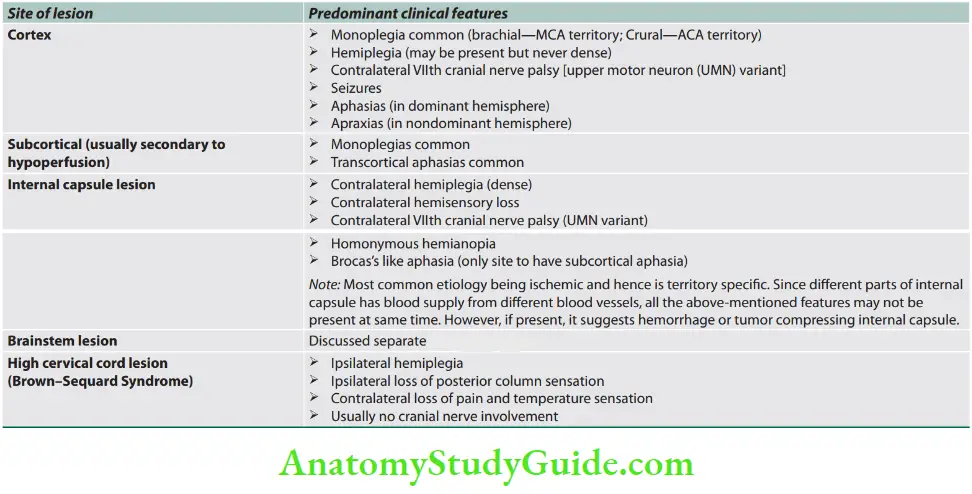 Neurology Commmon localization of hemiplegia