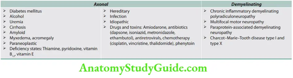Neurology Common causes of axonal and demyelinating chronic polyneuropathies