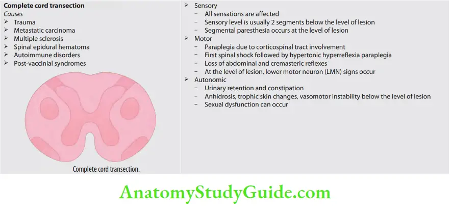 Neurology Complete cord transection