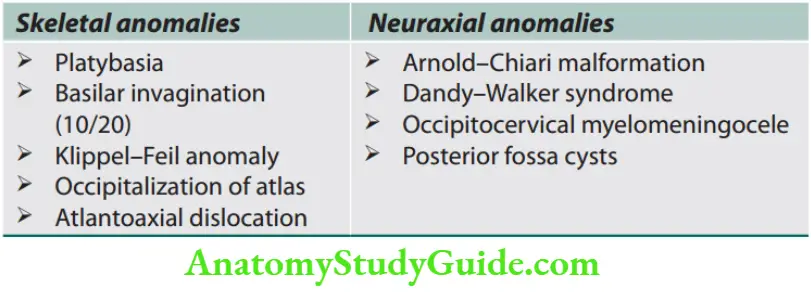 Neurology Craniovertebral junction anomalies.