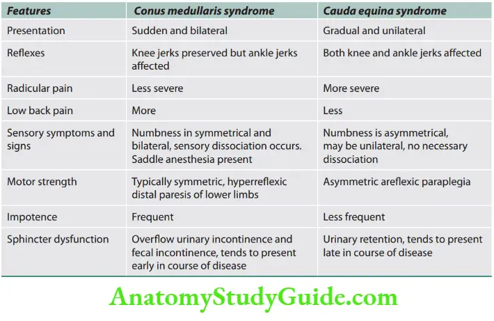 Neurology Diffrences between conus medullaris and cauda equina syndromes