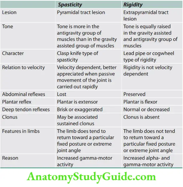 Neurology Diffrences between spasticity and rigidity