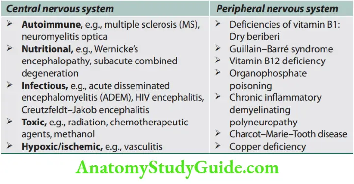 Neurology Example of demyelinating diseases