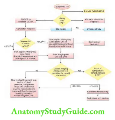 Neurology Management of transient ischemic attack