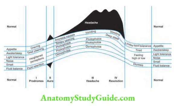 Neurology Migraine phases.