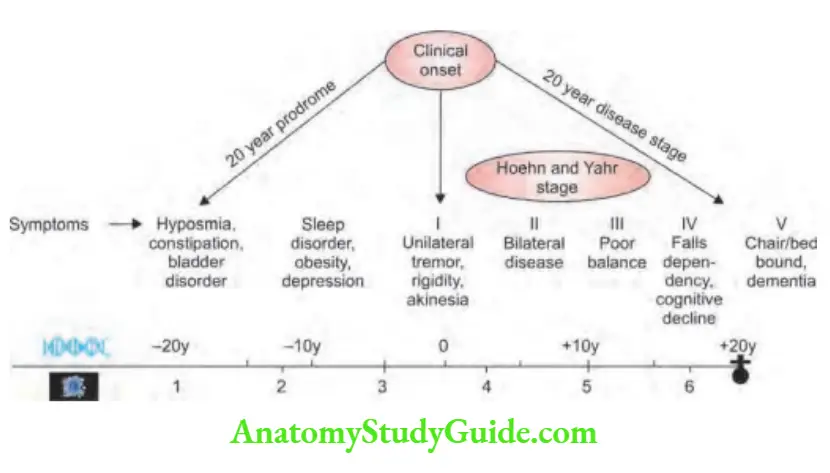 Neurology Parkinson’s disease timeline.