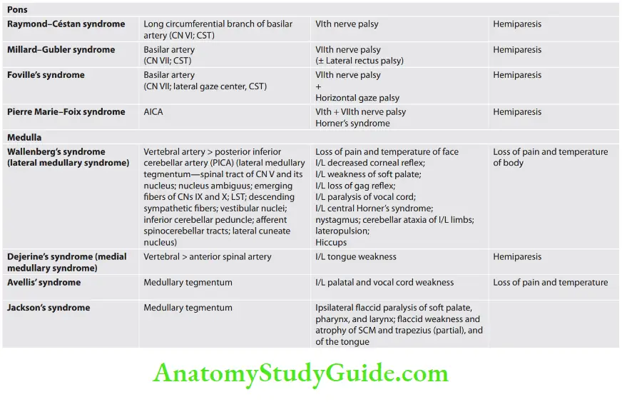 Neurology Posterior circulation strokes—brainstem syndromes 2