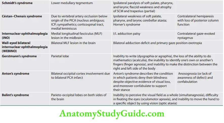 Neurology Posterior circulation strokes—brainstem syndromes 3