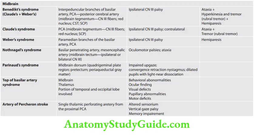 Neurology Posterior circulation strokes—brainstem syndromes