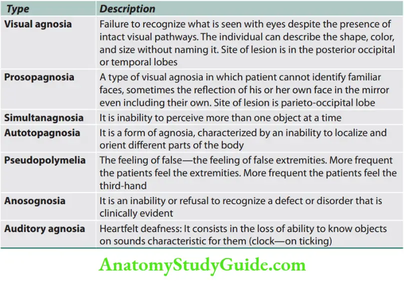 Neurology Types of agnosia