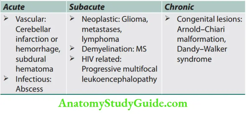 Neurology Types of asymmetrical cerebellar ataxias