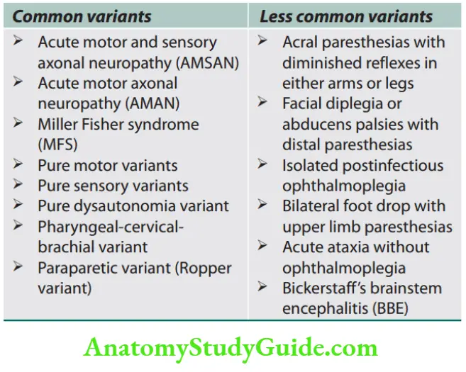 Neurology Variants of Guillain–Barré syndrome.