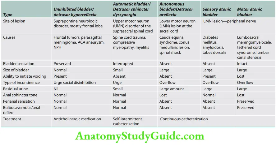 Neurology Various causes of neurogenic bladder