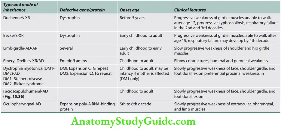 Neurology Various subtypes and its features of muscular dystrophies