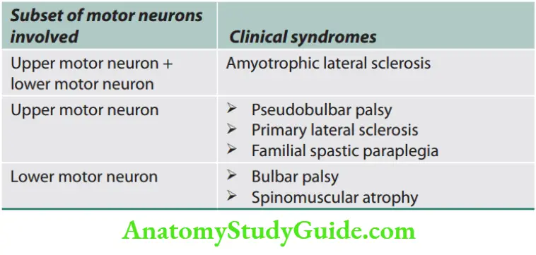 Neurology Various types of motor neuron disease.