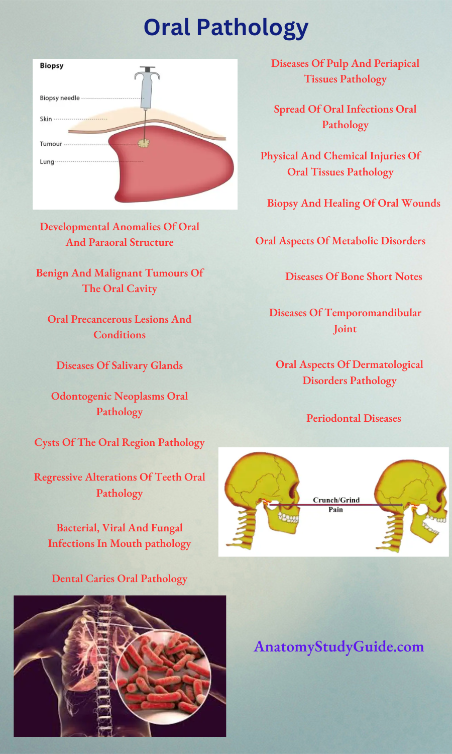 Oral Pathology