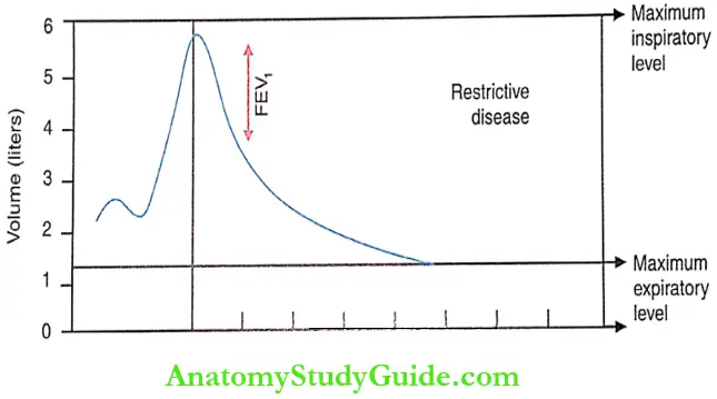 Pulmonary Function Tests Forced Expiratory Volume 2