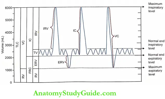 Pulmonary Function Tests Spirometer Figure 121-3