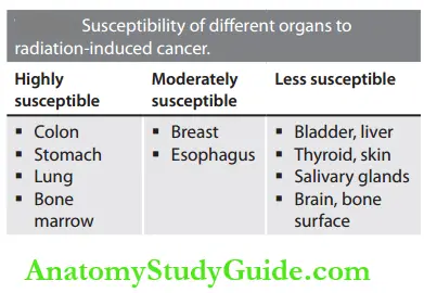 Radiation Biology Susceptibility Of Different Organs To Radiation Induced Cancer