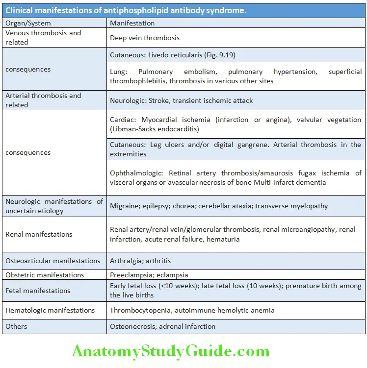 Rheumatology and Connective Tissue Clinical manifestations of antiphospholipid antibody syndrome