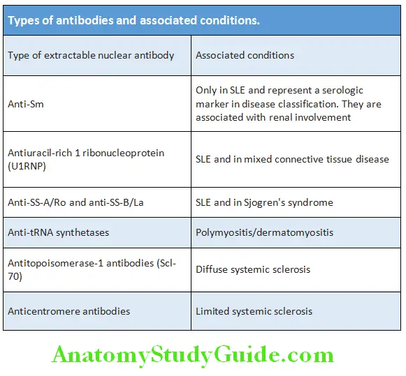 Rheumatology and Connective Tissue Disorders Types of antibodies and associated conditions