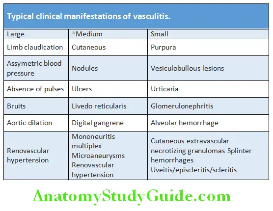 Rheumatology and Connective Tissue Disorders Typical clinical manifestations of vasculitis